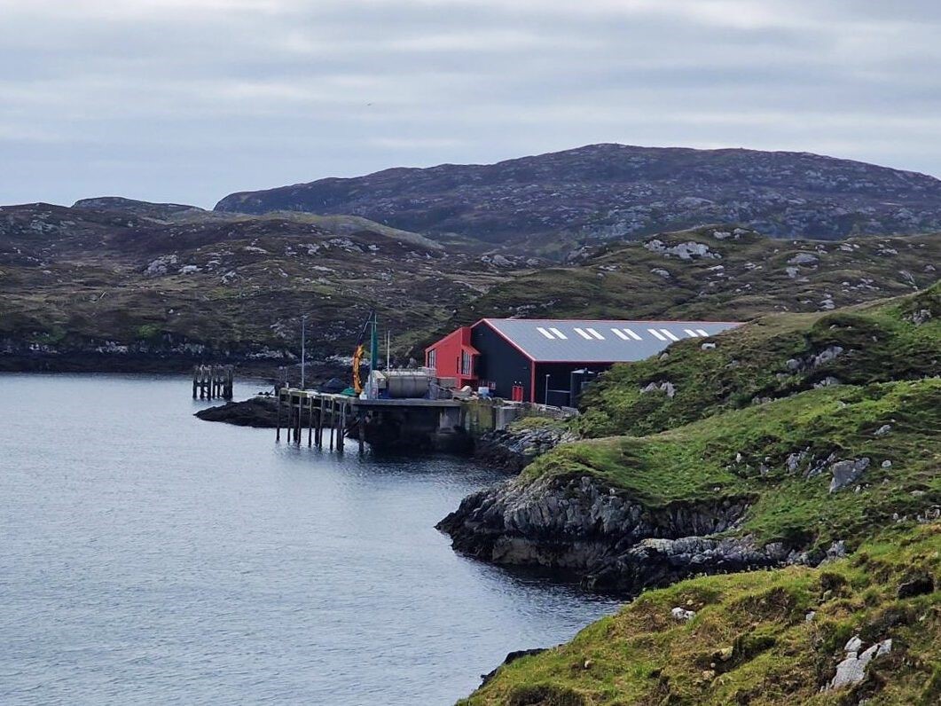 Efling fiskeldisþjónustu á eyjunum suður af Færeyjum